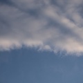 DSCF7357