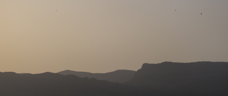 DSCF0036.jpg