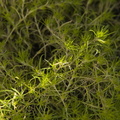 DSCF0114