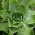 DSCF2283