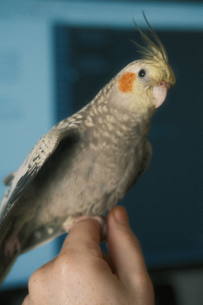 DSCF7270