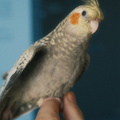 DSCF7270