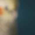 DSCF7264