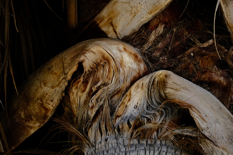 DSCF4082.JPG