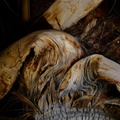 DSCF4082