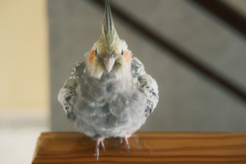 DSCF7315.JPG