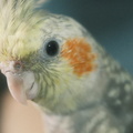 DSCF7320