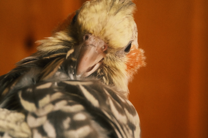 DSCF7358.JPG