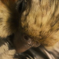 DSCF7361