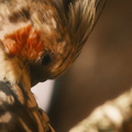DSCF7377