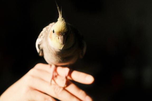 DSCF8343