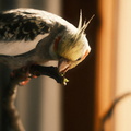DSCF8363