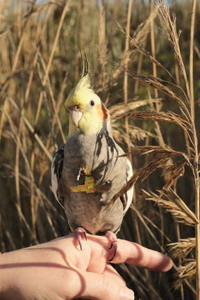 DSCF9034