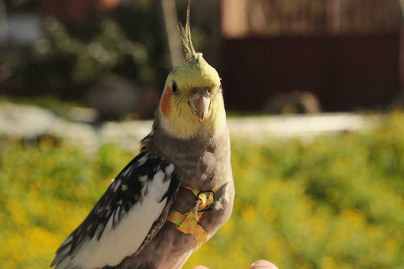 DSCF9050.JPG