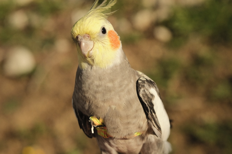 DSCF9051.JPG